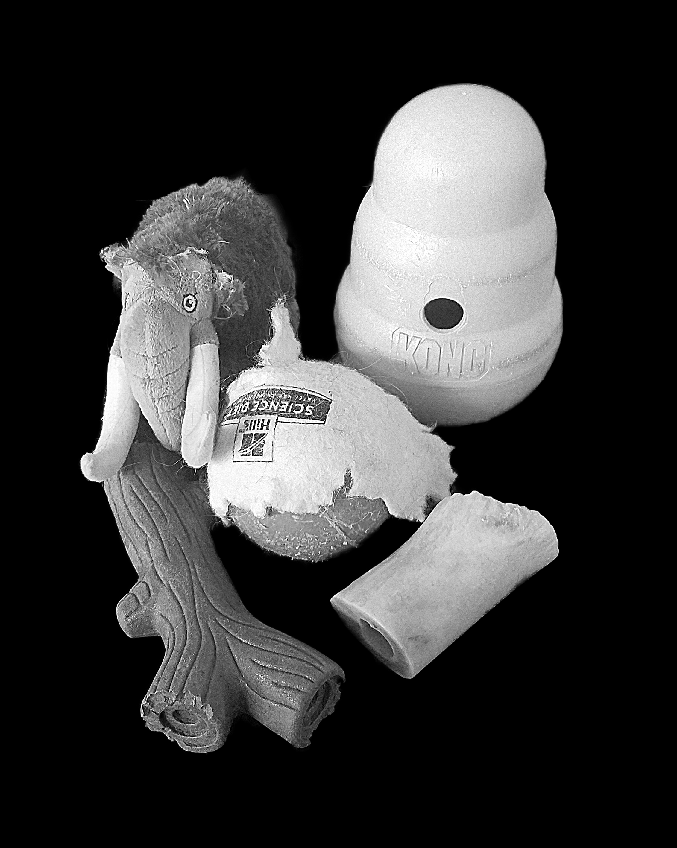 00-dogtoys-3785721273