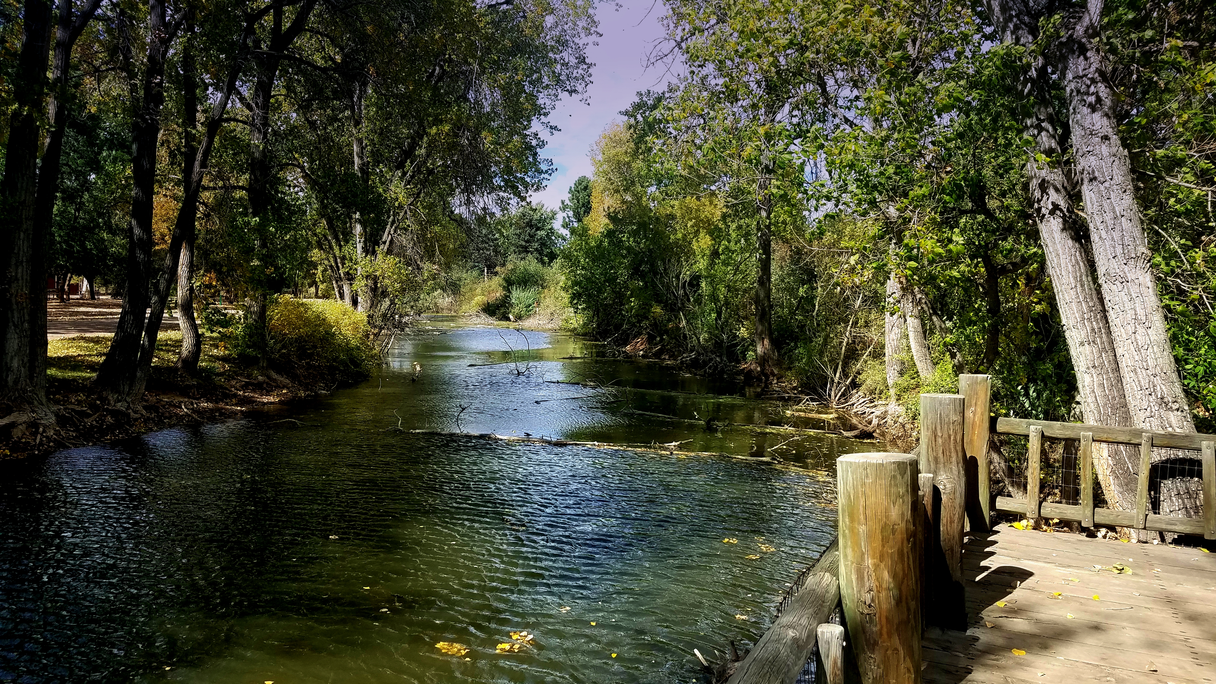 00-hudsongardens-20171001_142249A