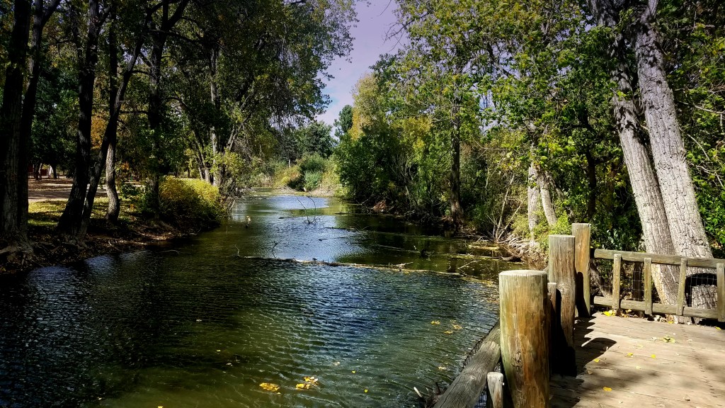 Sunday Trees –&nbsp;308