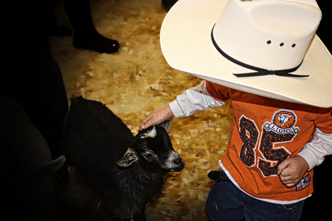 00-littlecowboy-IMG_1246_A