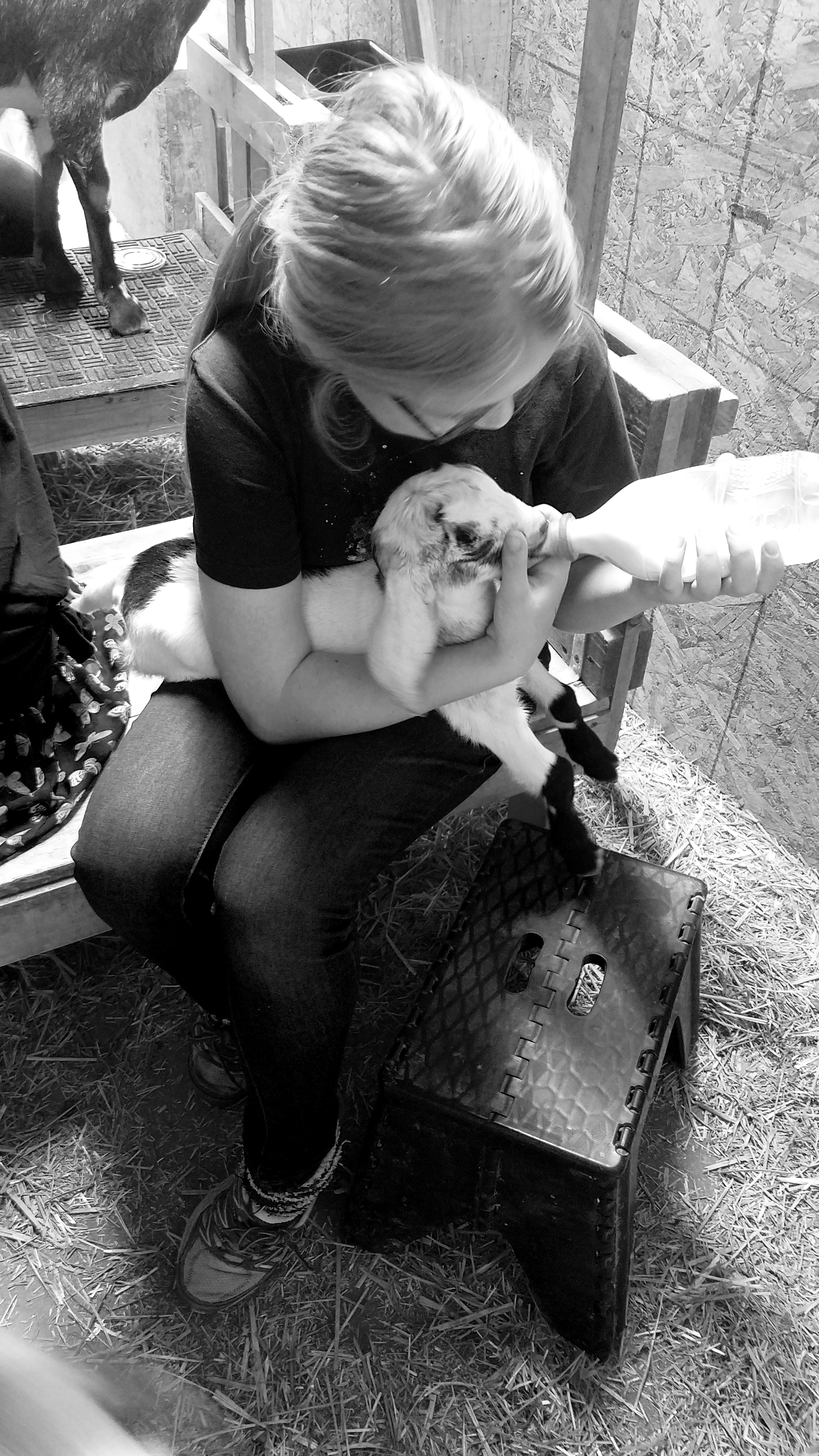 00-monochrome-20170521_144440