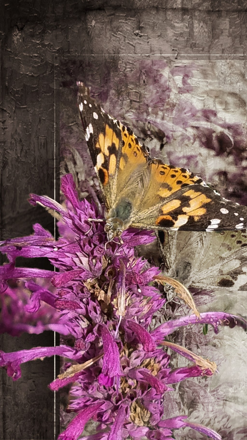 Flower of the Day – October 4,&nbsp;2017