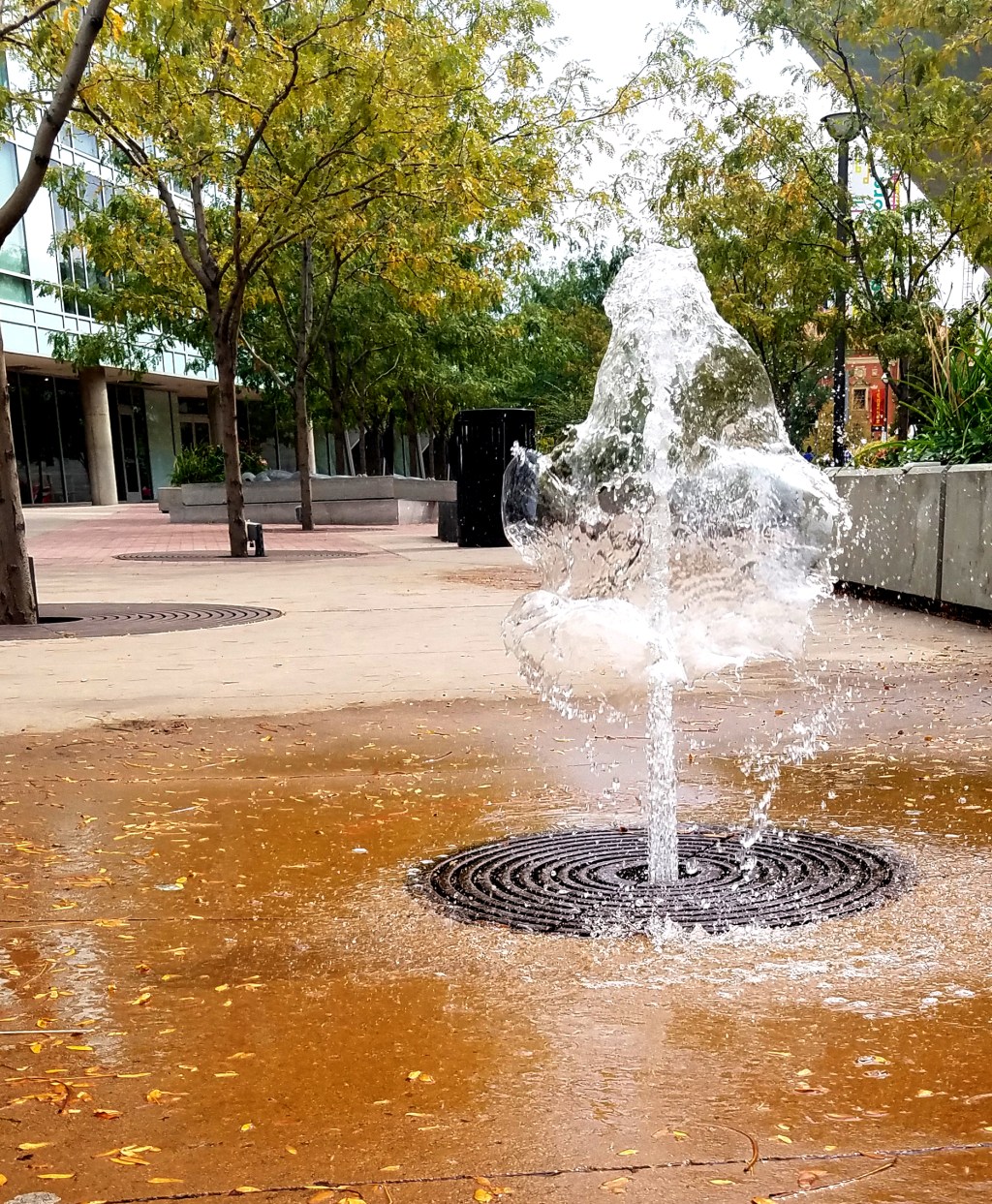 Mundane Monday Challenge #133: Learn&nbsp;Photography