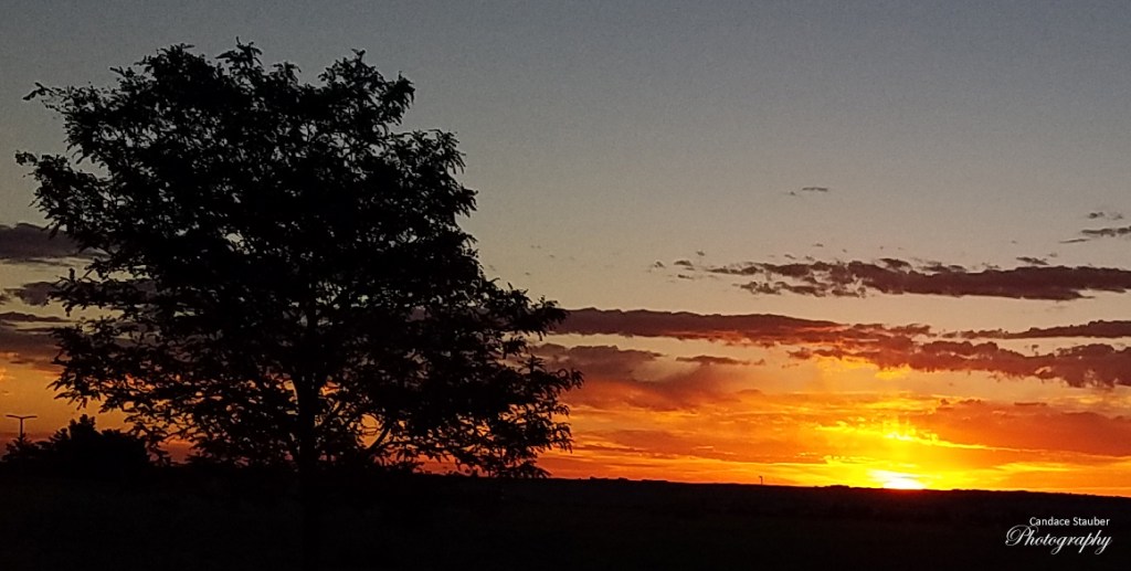 Golden hour filled with&nbsp;warmth