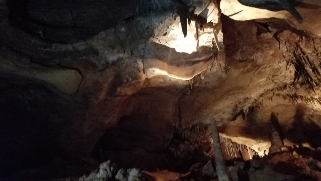 JNW’s Halloween Challenge-Bats