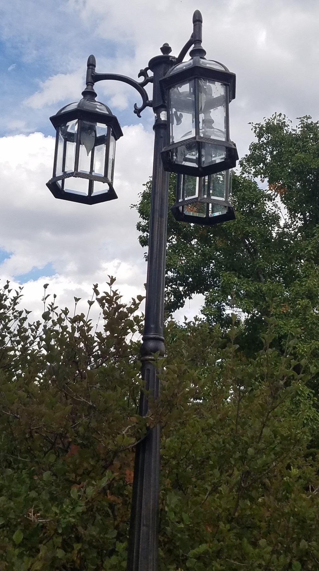 Mundane Monday Challenge #128: Learn&nbsp;Photography