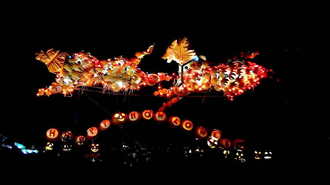 37802825391_c358ec36dd_o