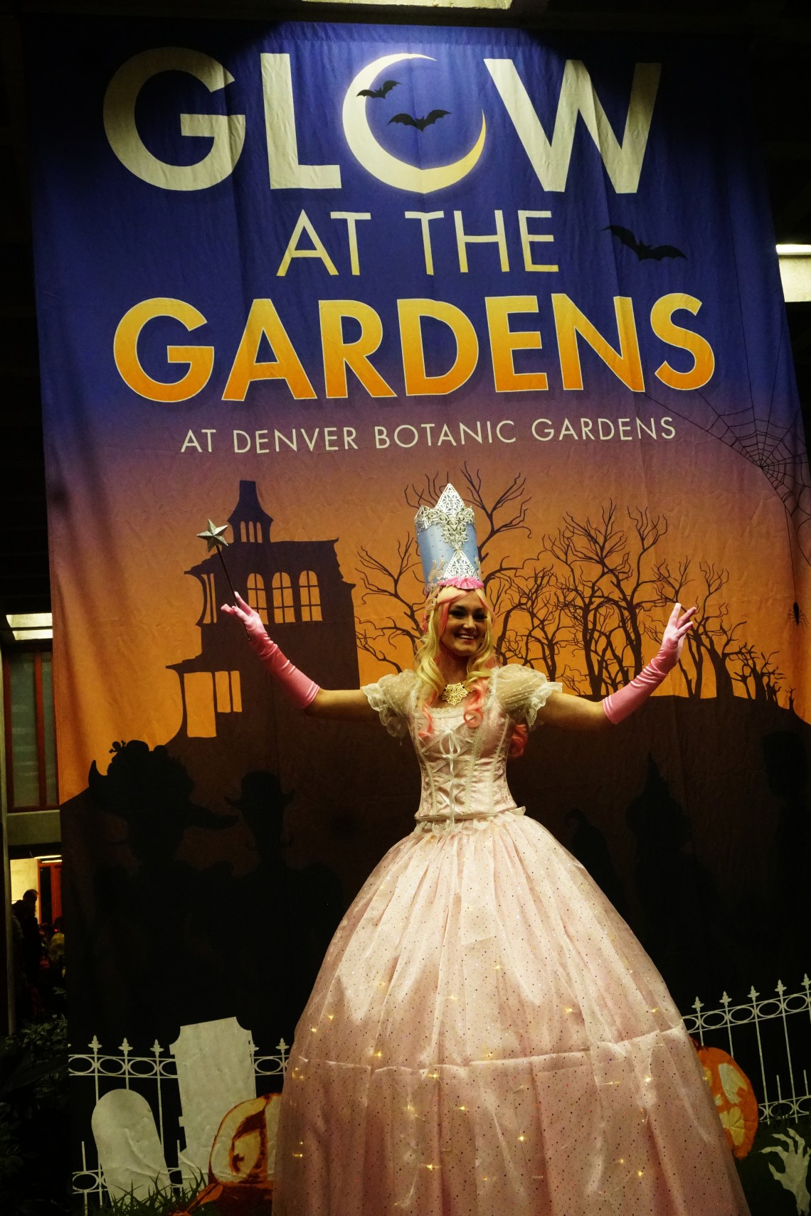 DBG-Glow-Glenda-DSC03530A