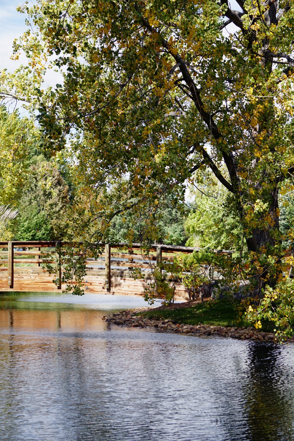 Island in the&nbsp;Stream