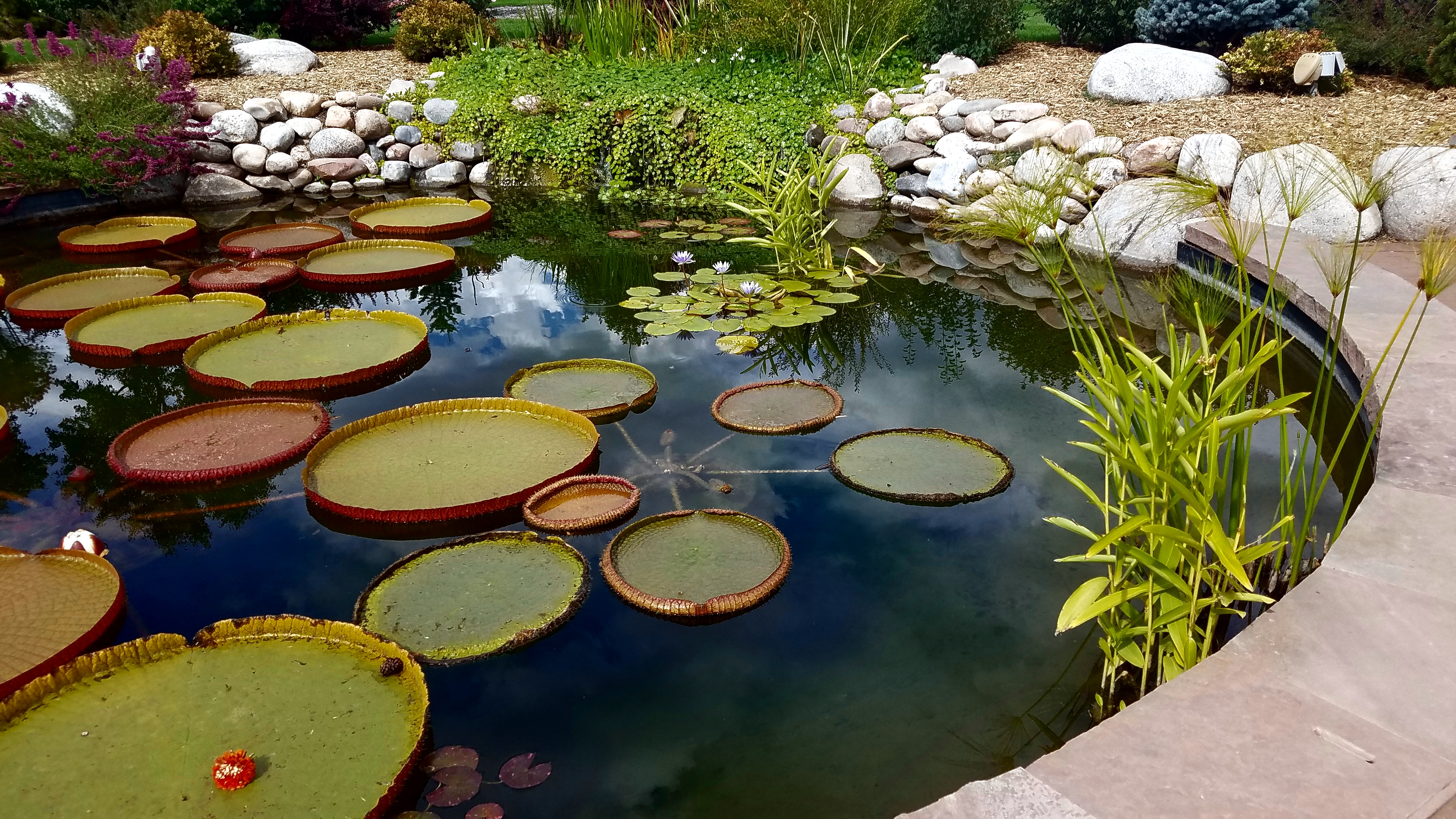 lilypond-20171001_135110_009A