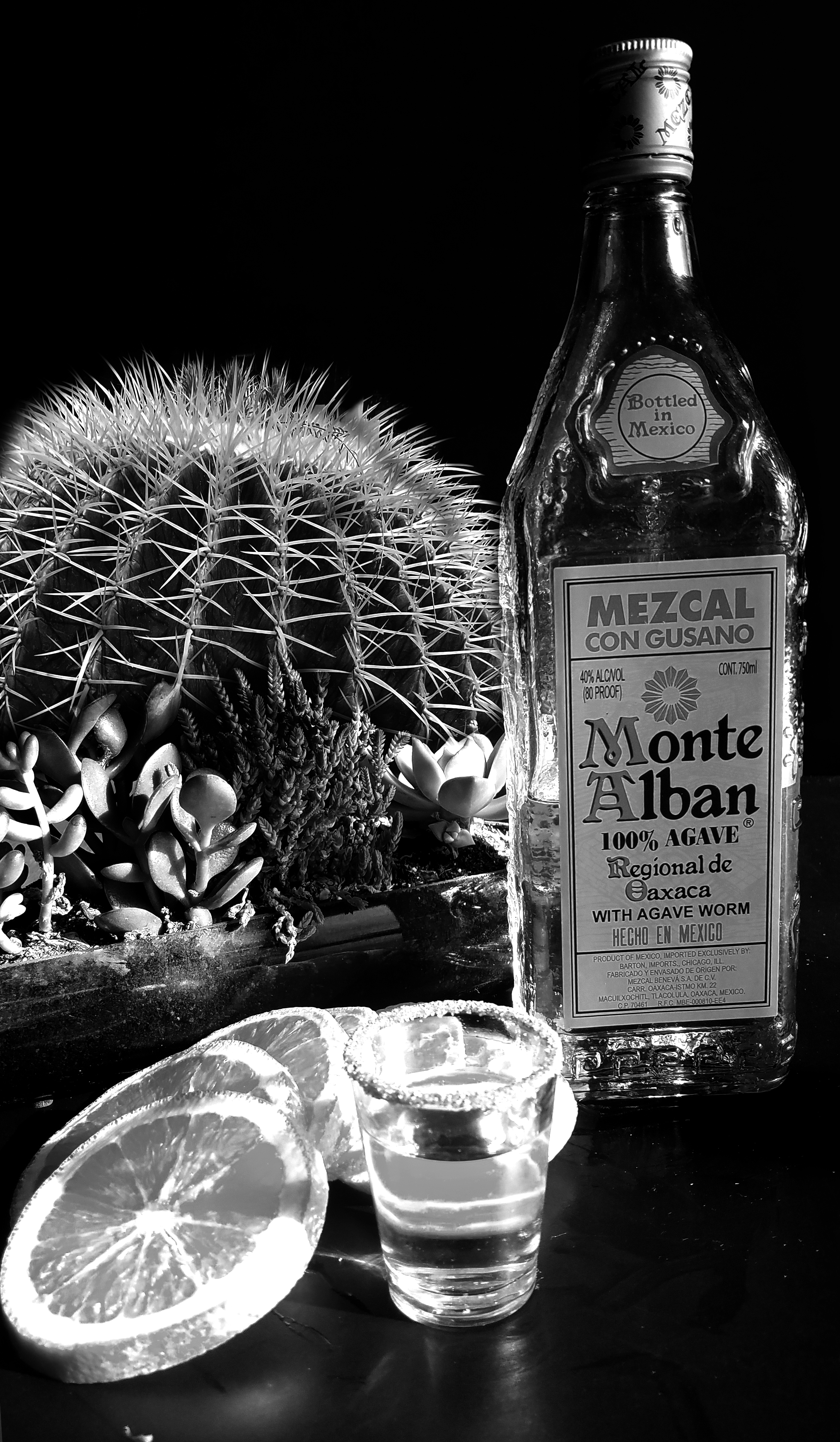 mezcal-2-20170526_174456-monochrome