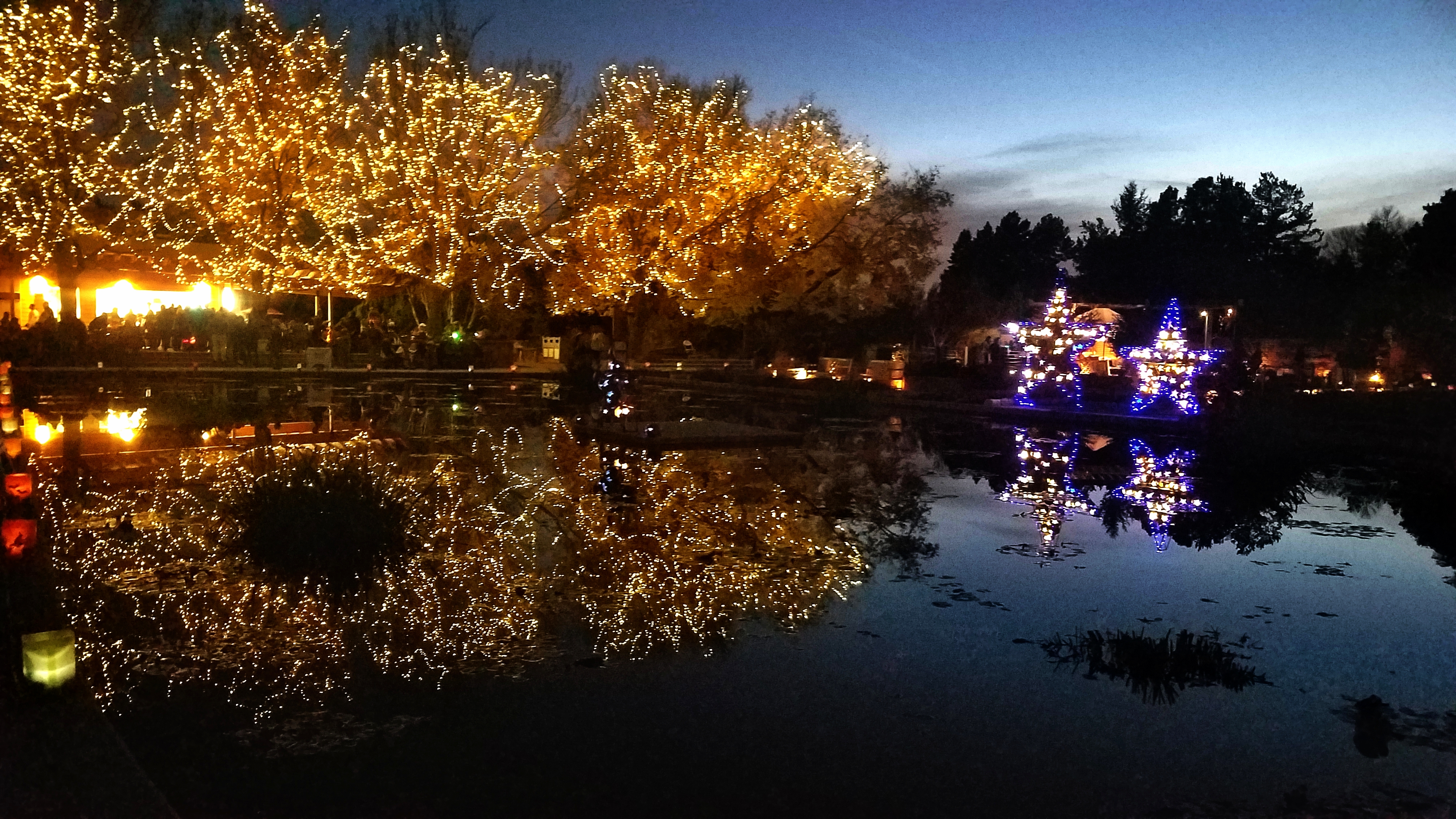 reflections-DBG-37132206543A