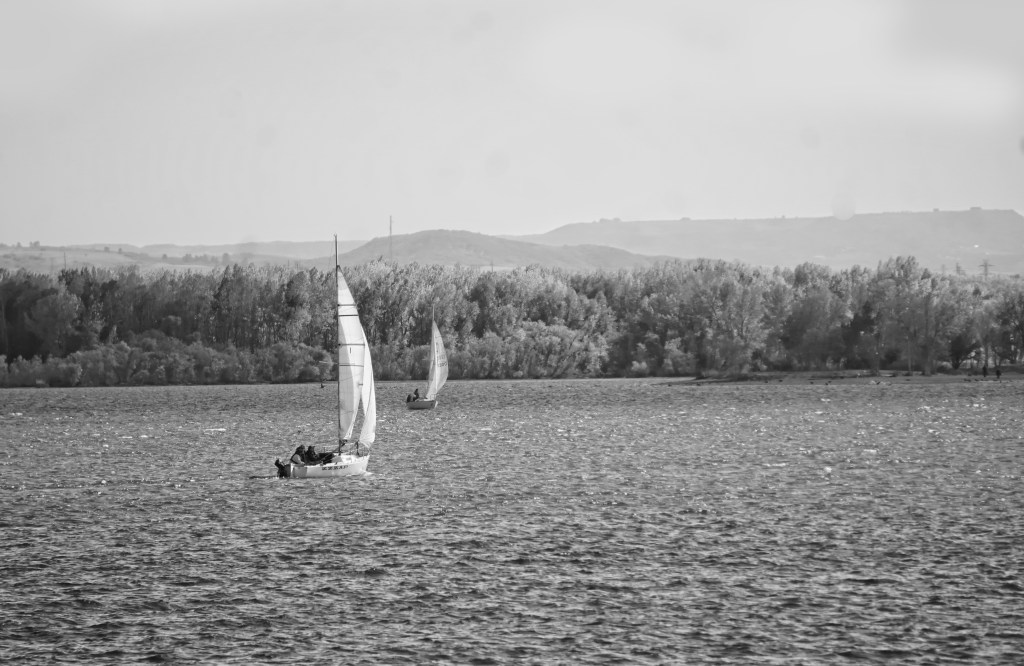 Cee’s Black & White Photo&nbsp;Challenge