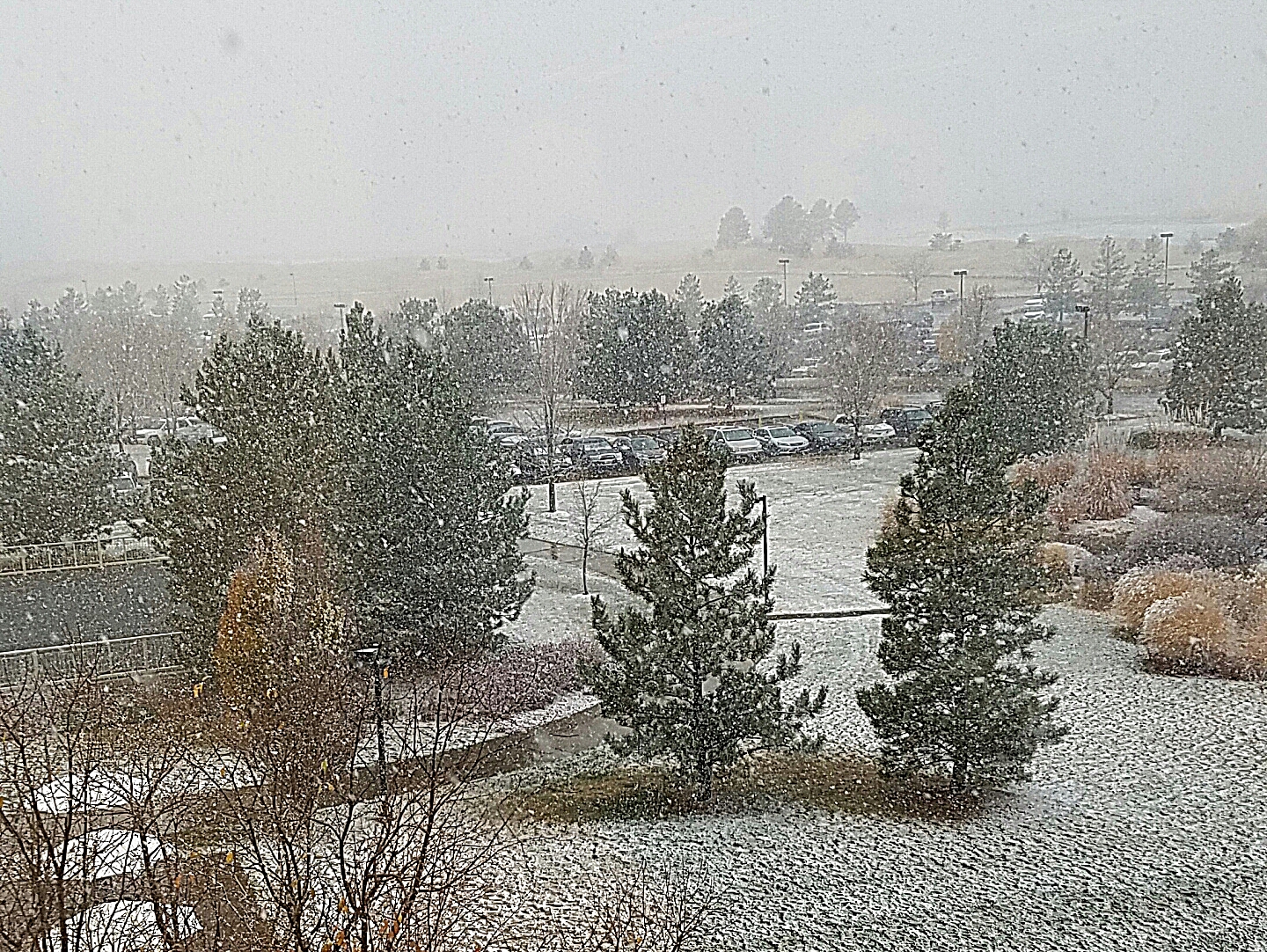 winter-20161117_144036