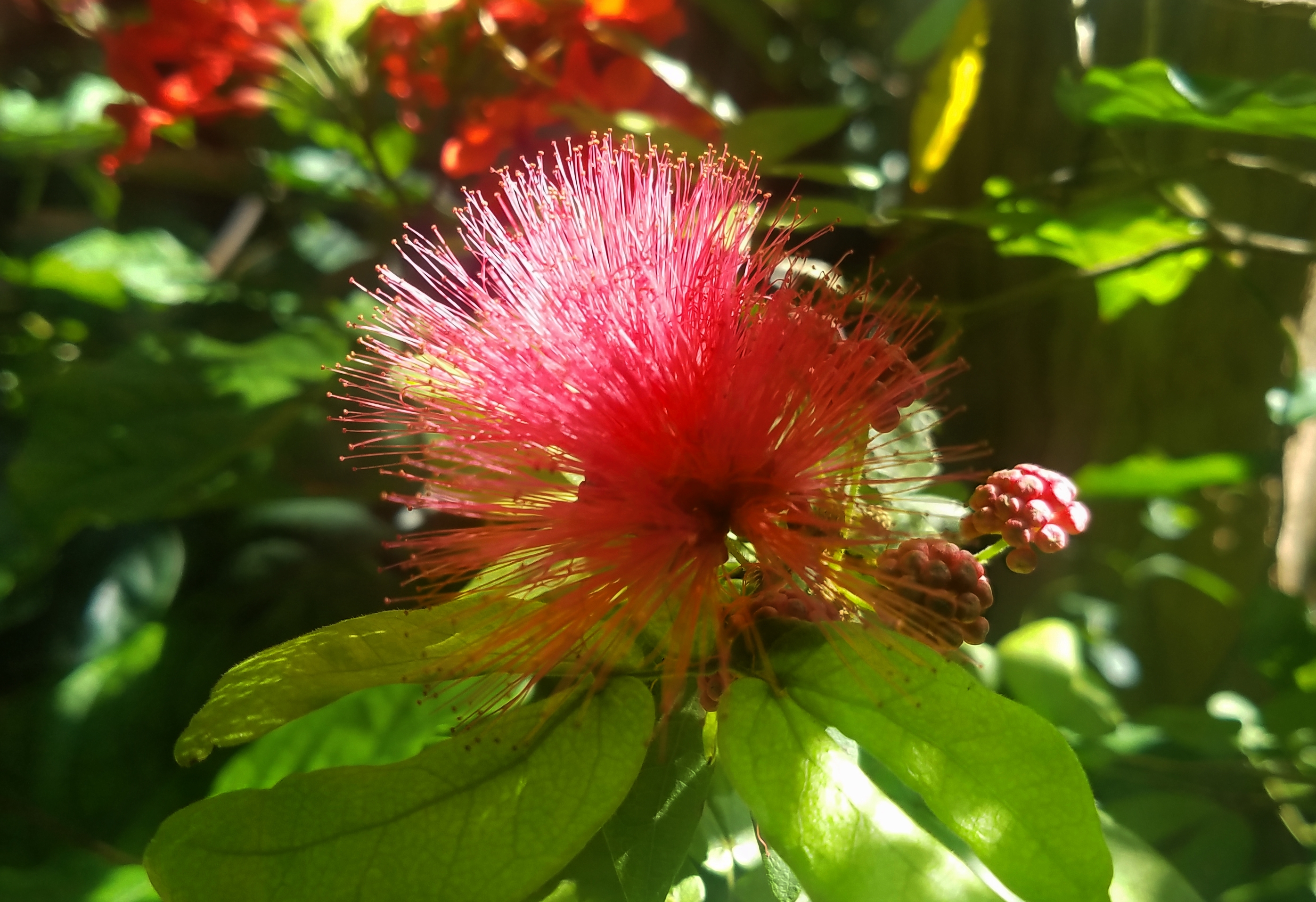 00-20171104_102634_38144963042_A