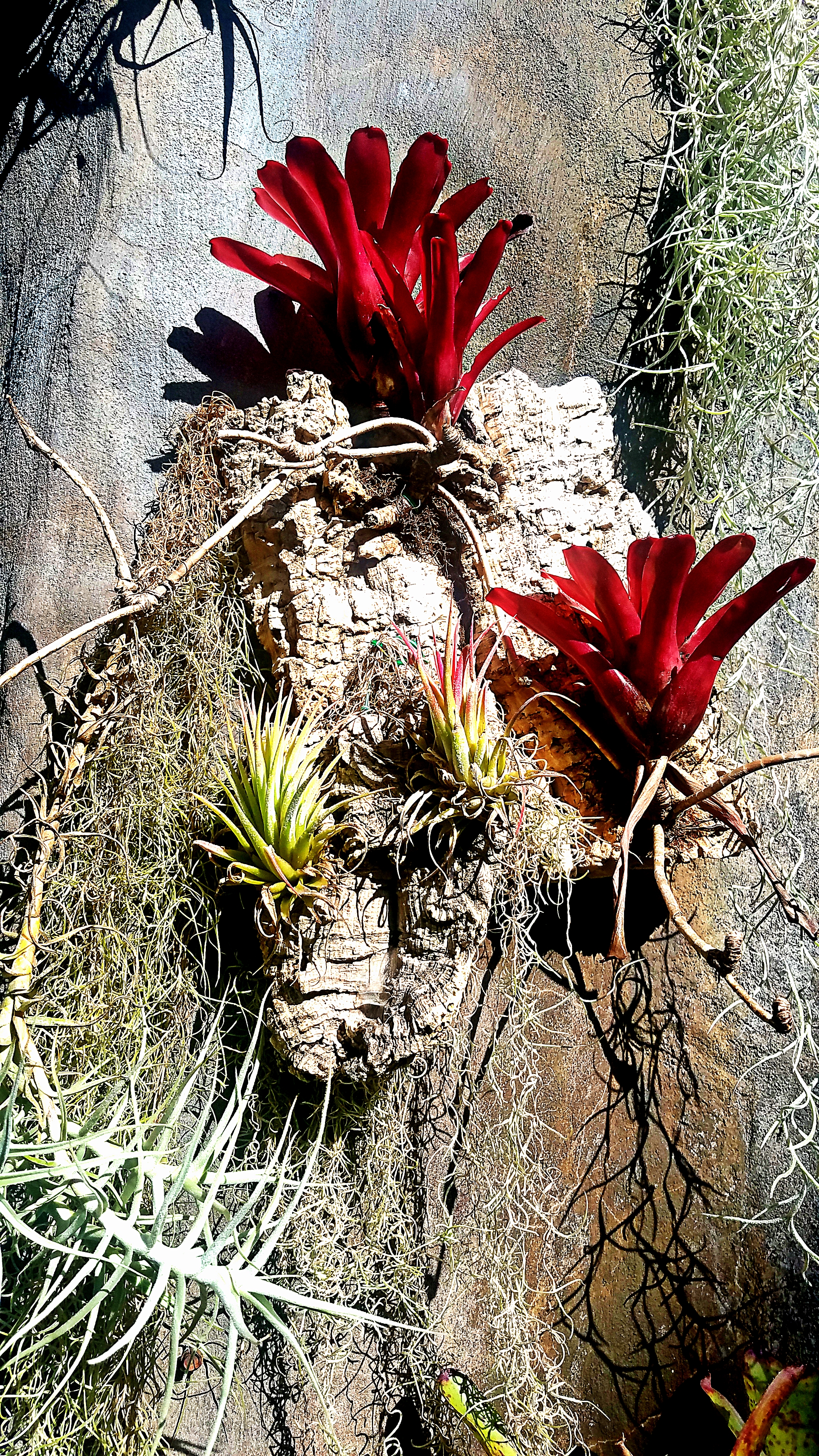 00-20171104_104714_26400196989A