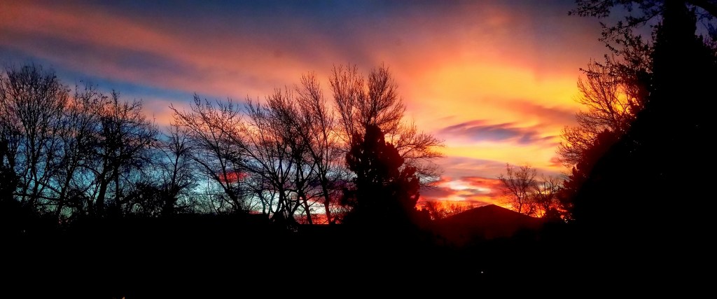 Share Your World – November 20,&nbsp;2017