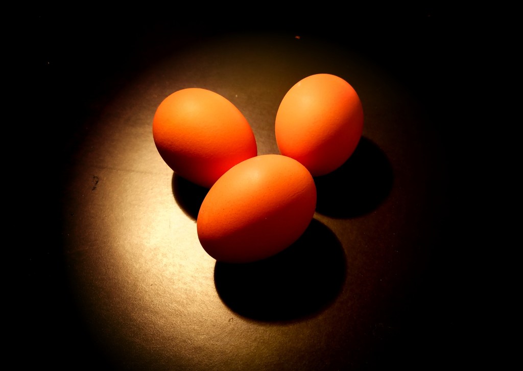 Week #47: Shot with a&nbsp;Phone!