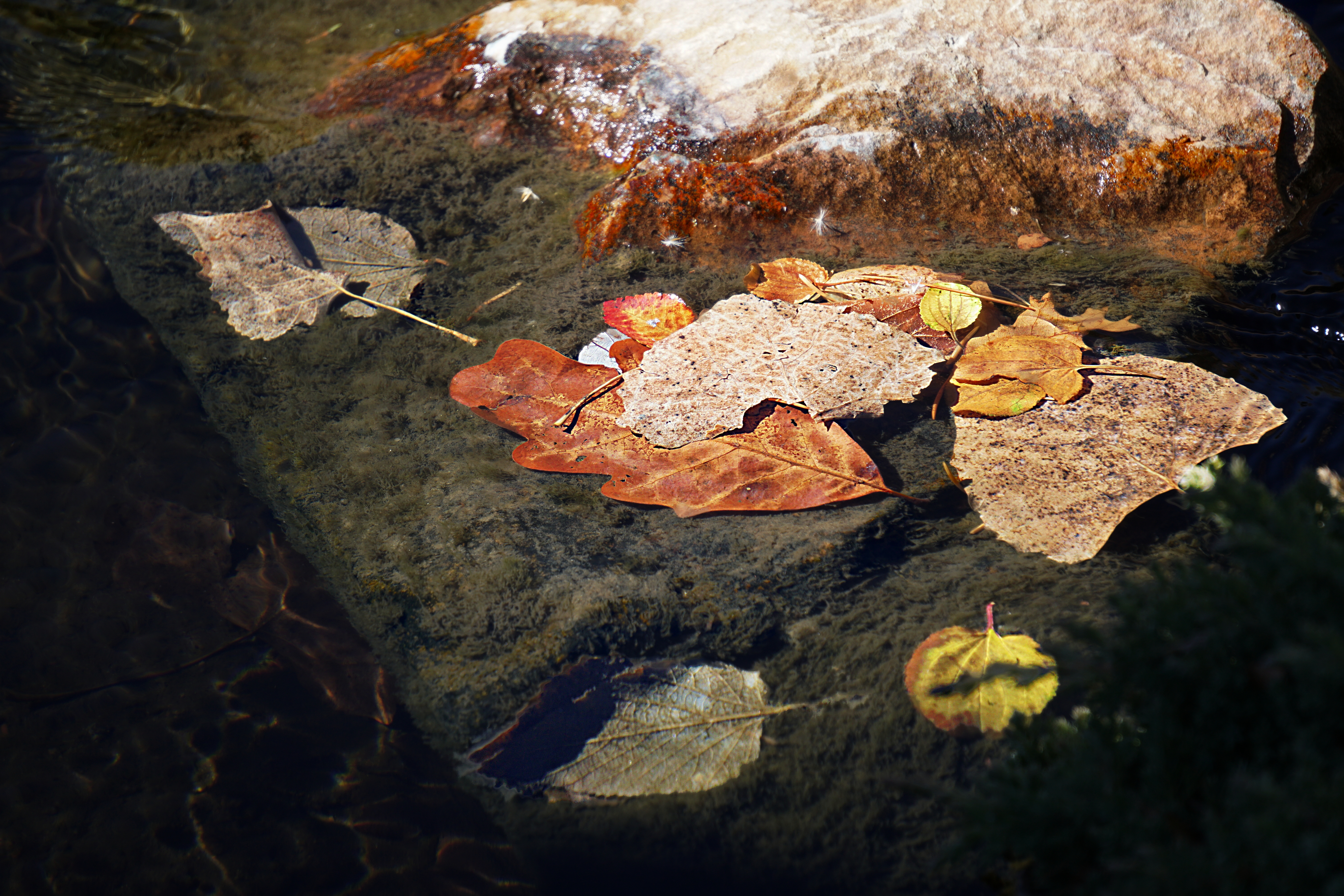 00-AutumnWater-DSC03651A