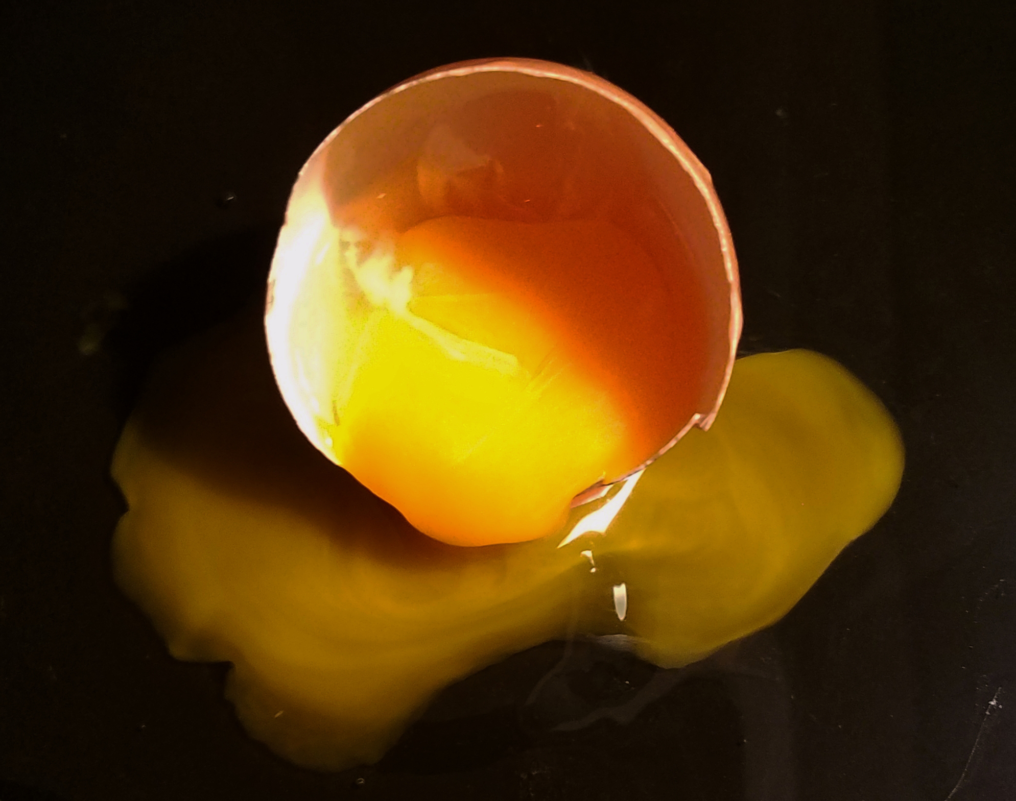 00-brokenegg-20171113_182204_24532465718A