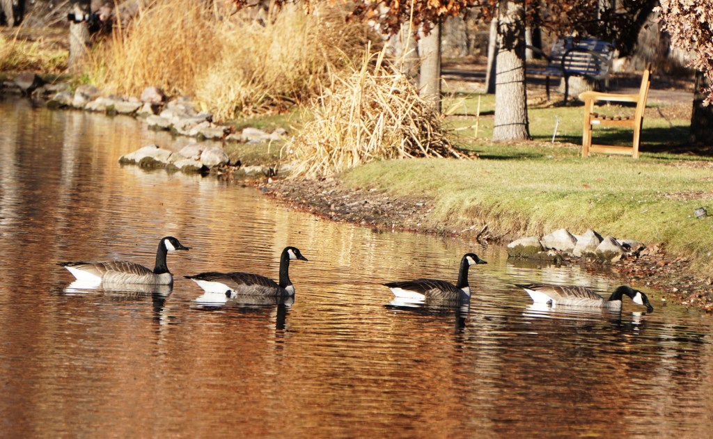 Mundane Monday Challenge #136: Learn&nbsp;Photography