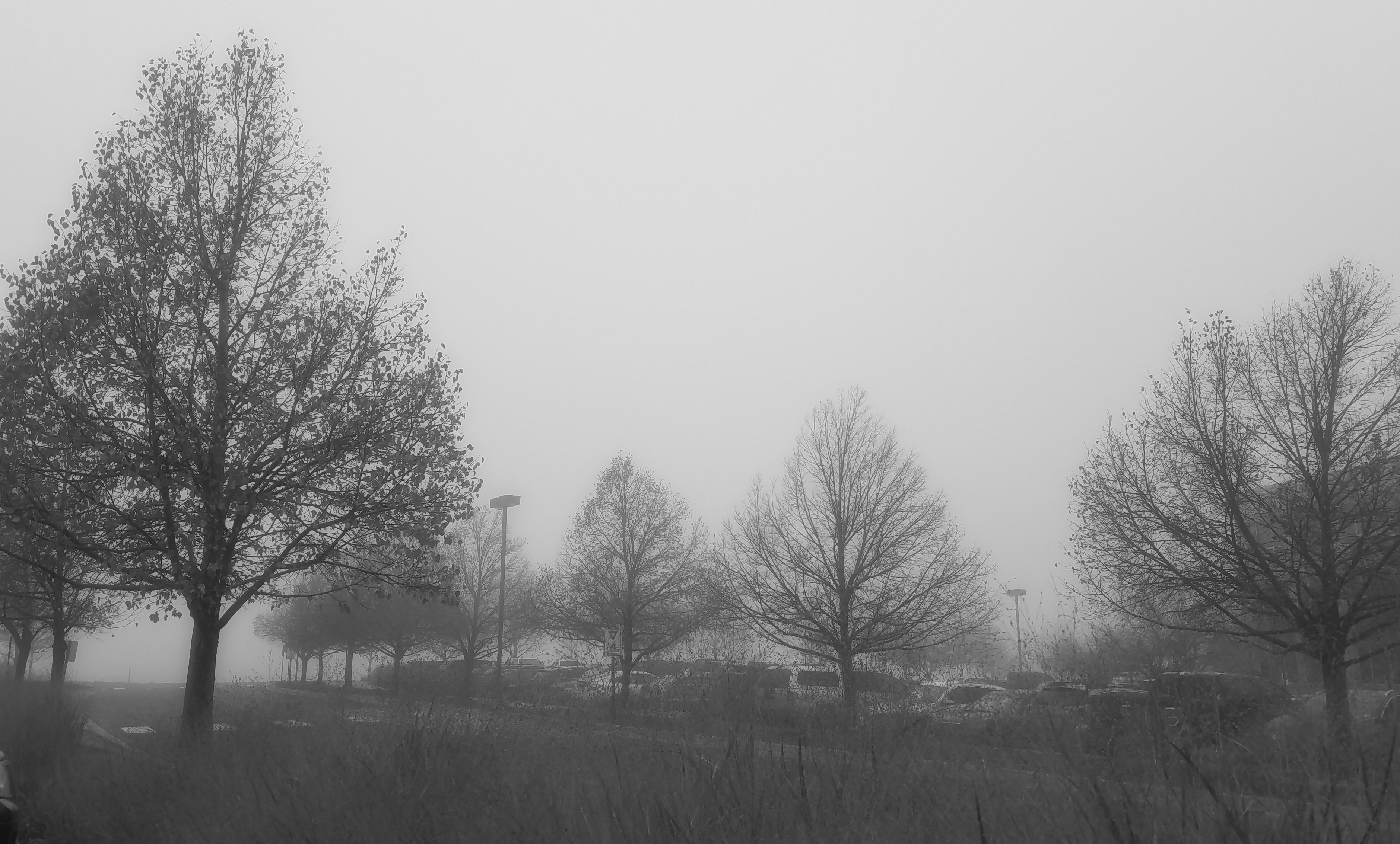 00-foggyweather-20171106_073825_38182935072A