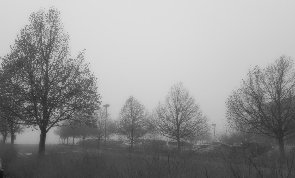 Foggy weather