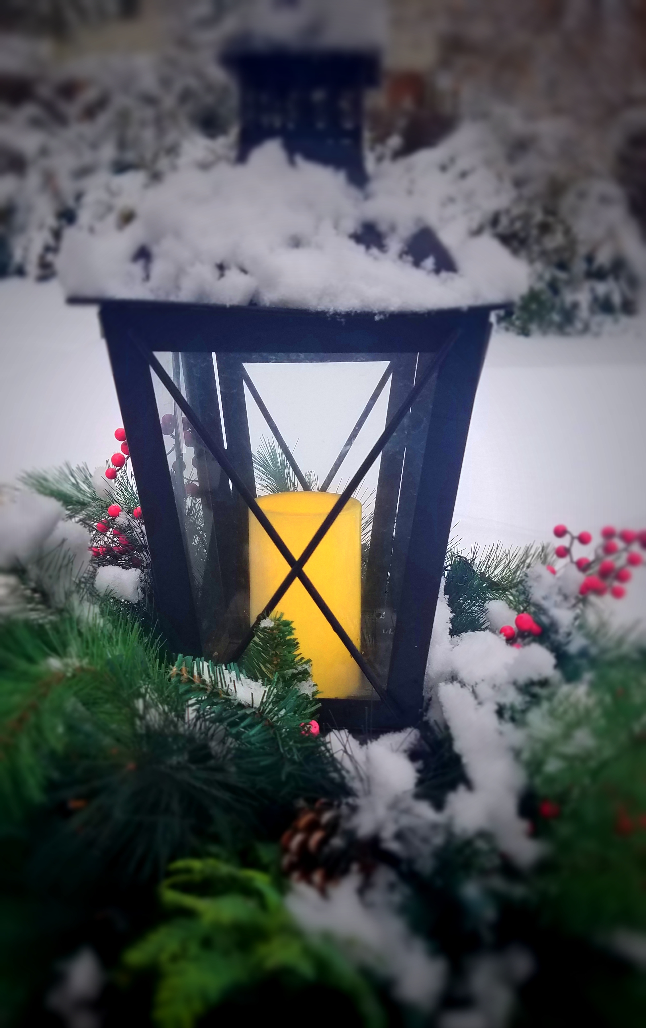 00-frozenlantern-20170116_125401B