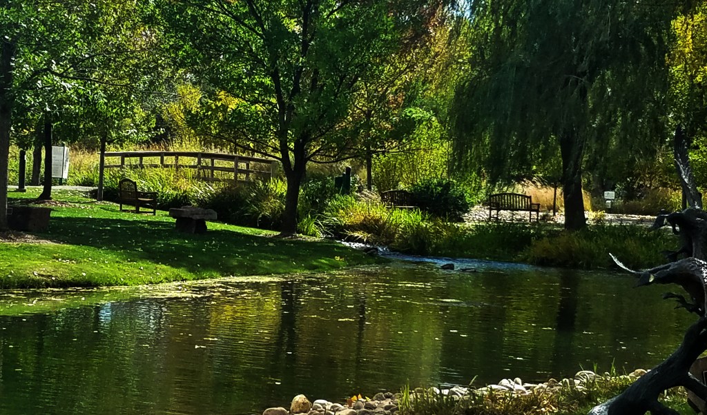 Photo Challenges-Serene