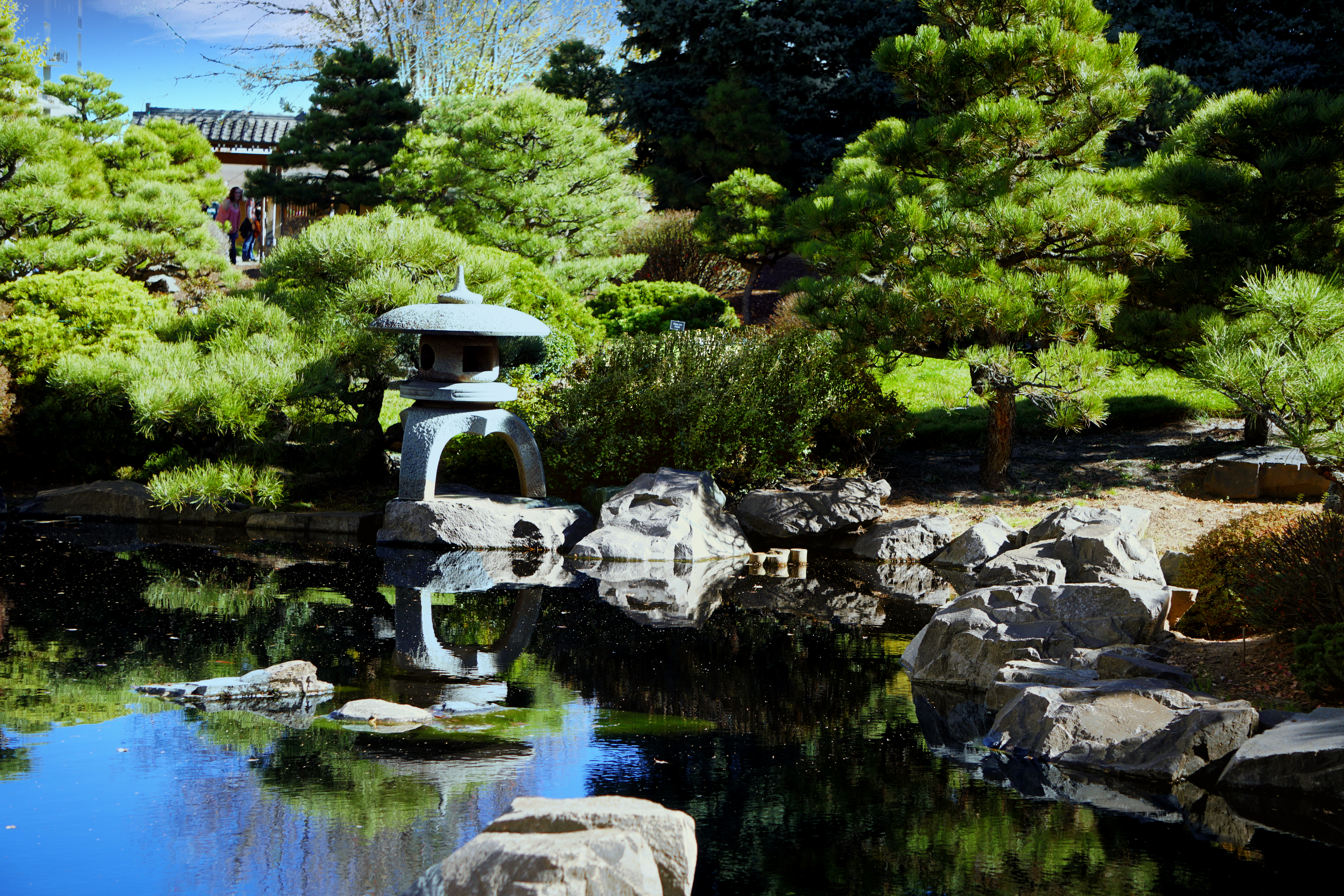 00-salubious-DSC03657_A