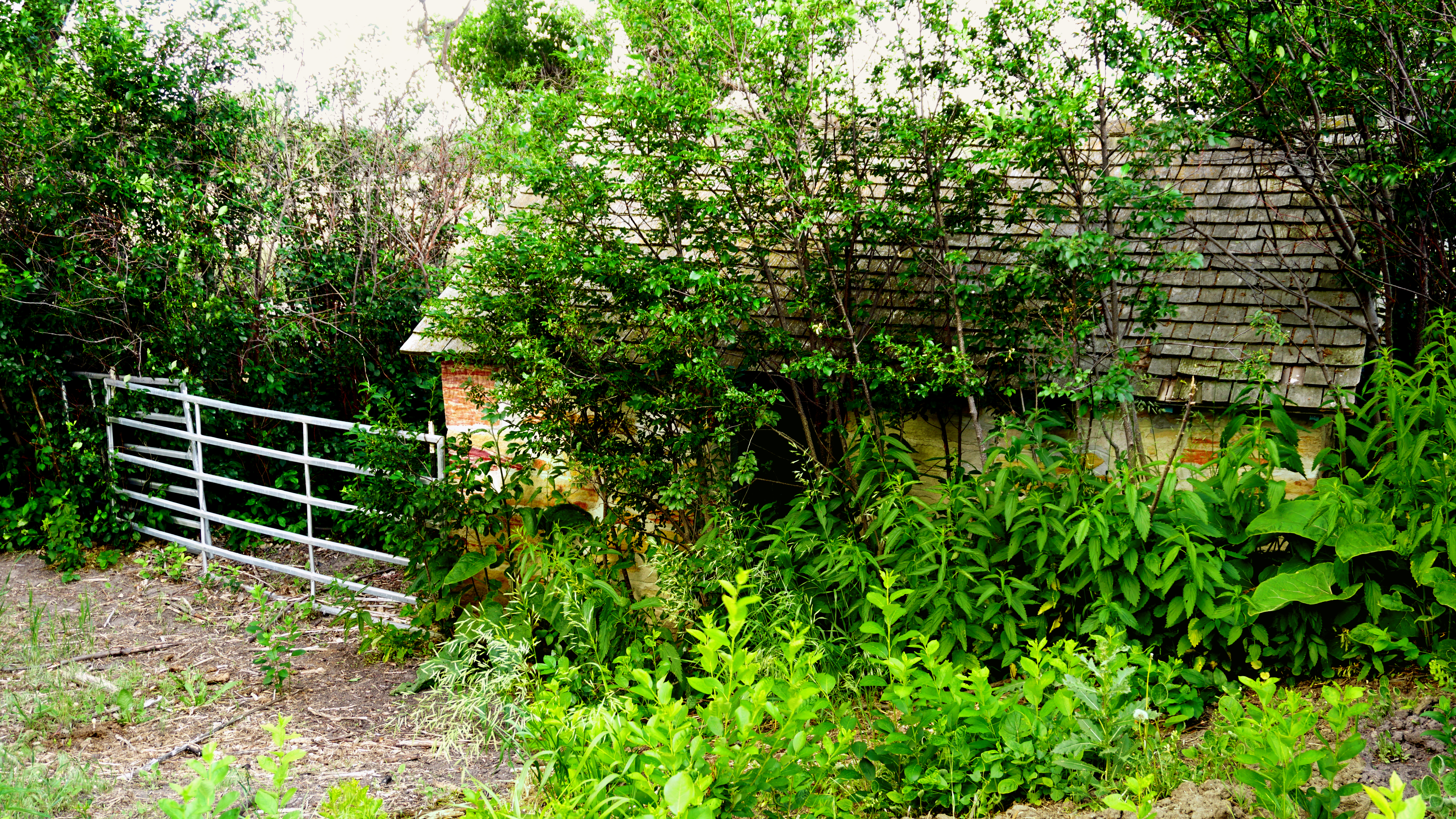 00-springhouse-DSC02442