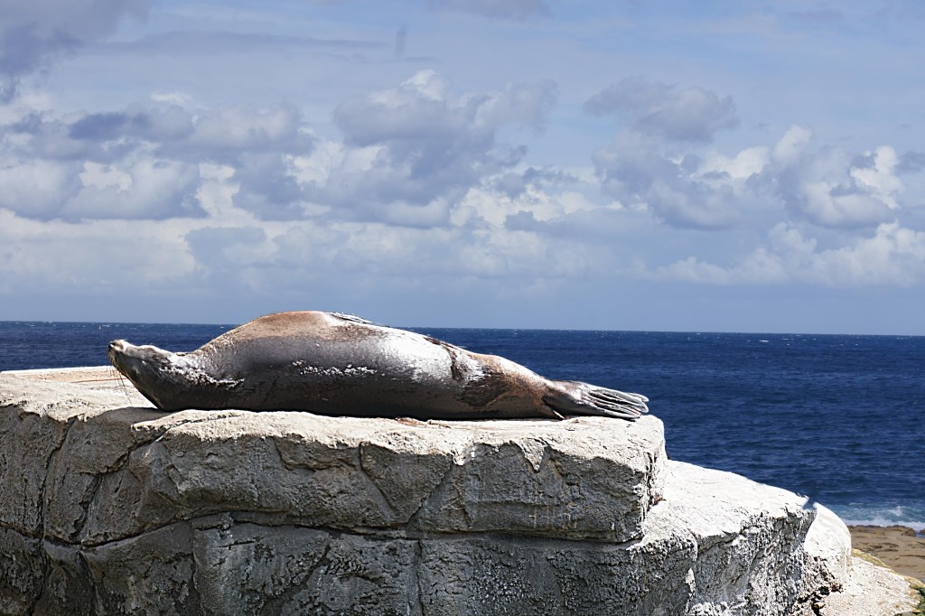 Lazy, Hazy, Crazy Days of Summer – Oh, How I miss&nbsp;you!