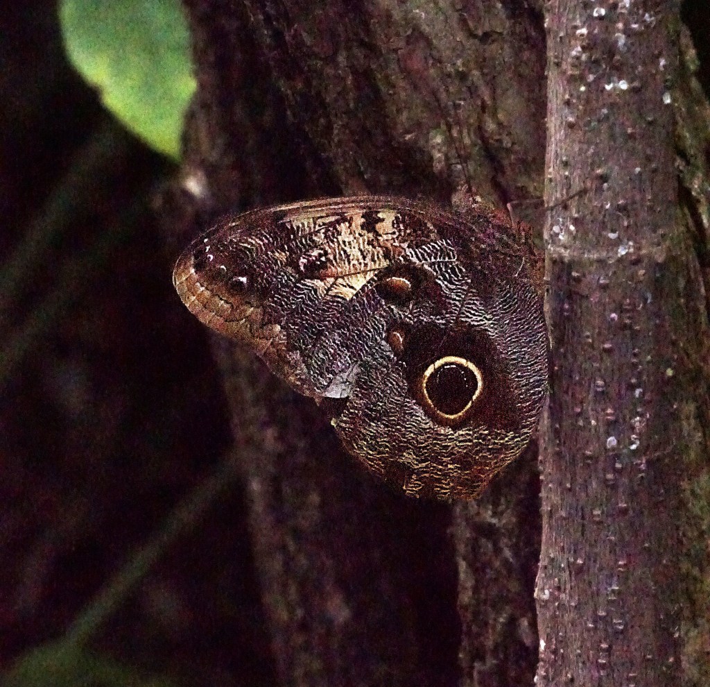 Transformation is Exhausting