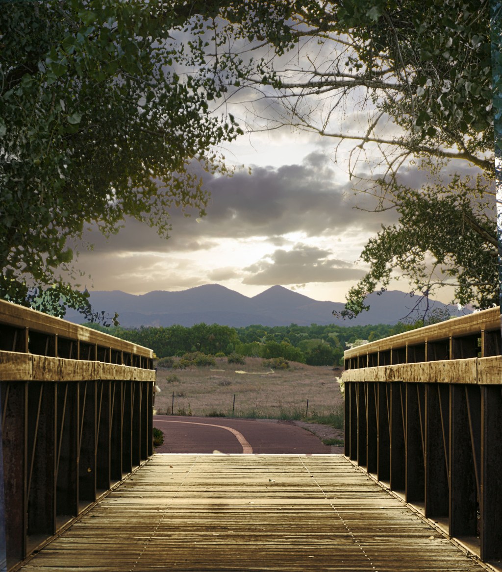 View from a&nbsp;Bridge