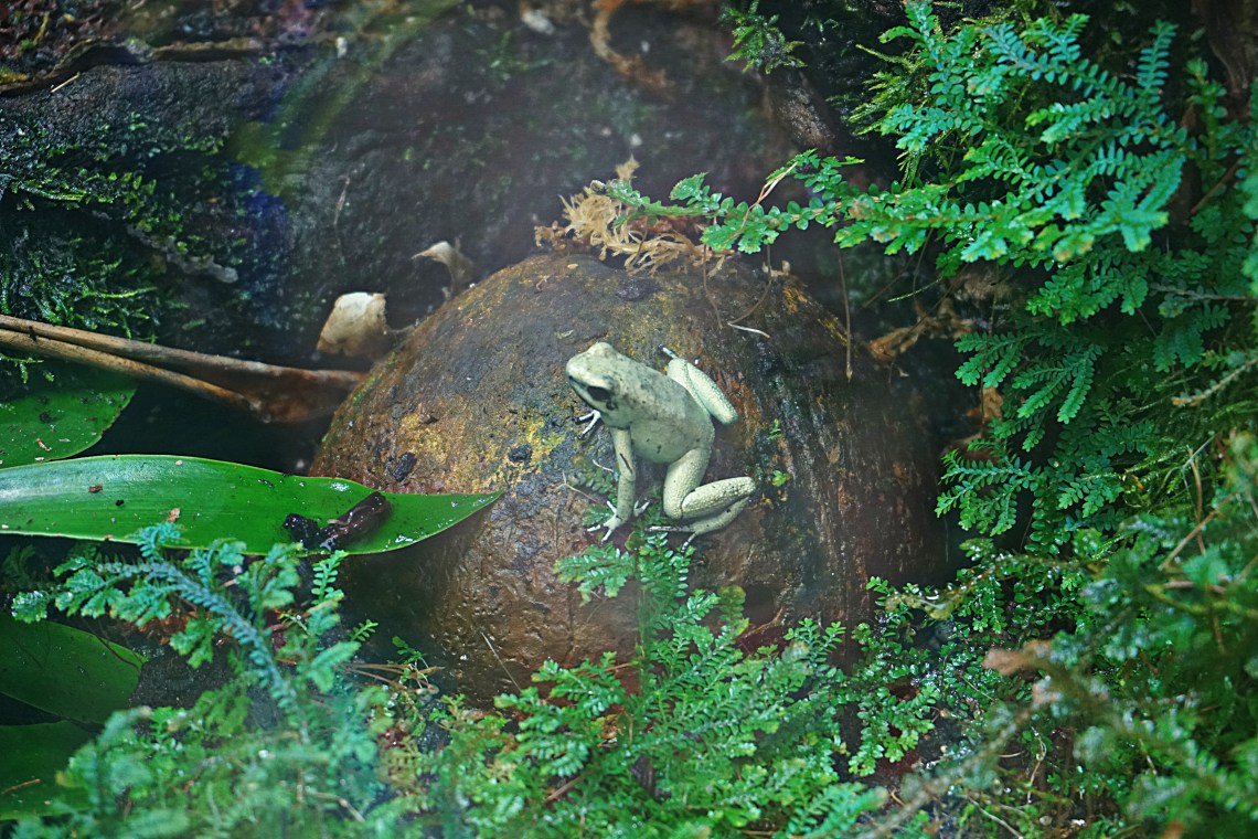 2017-06-05_07-31-45_pe