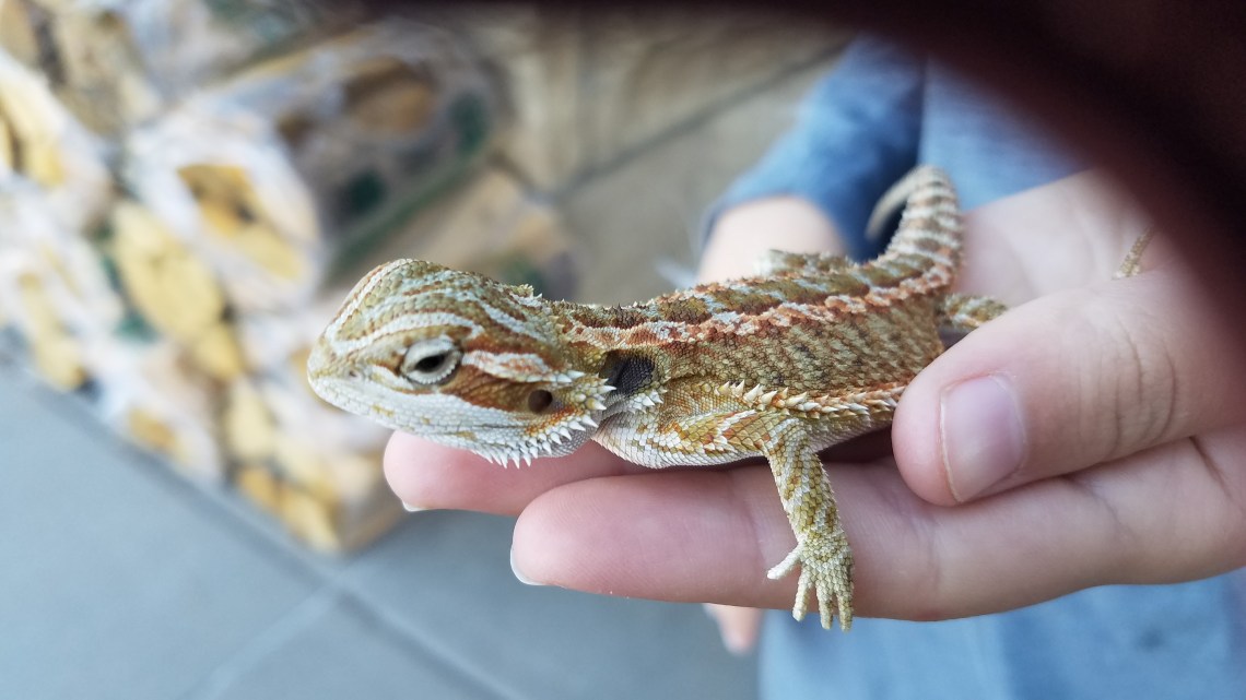 20171008_151220_37321007260_o