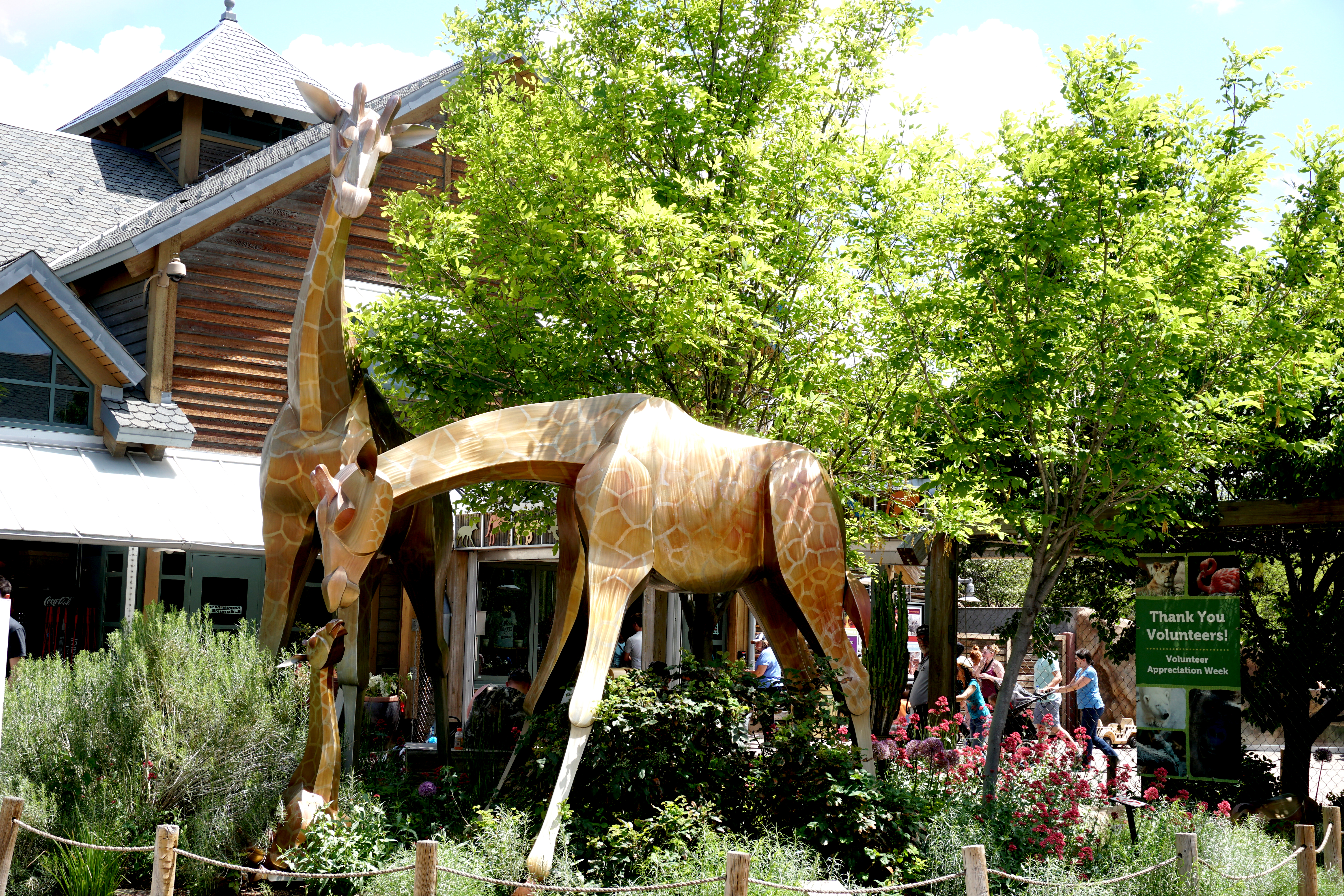 DenverZoo35079765125_00597e3879_o