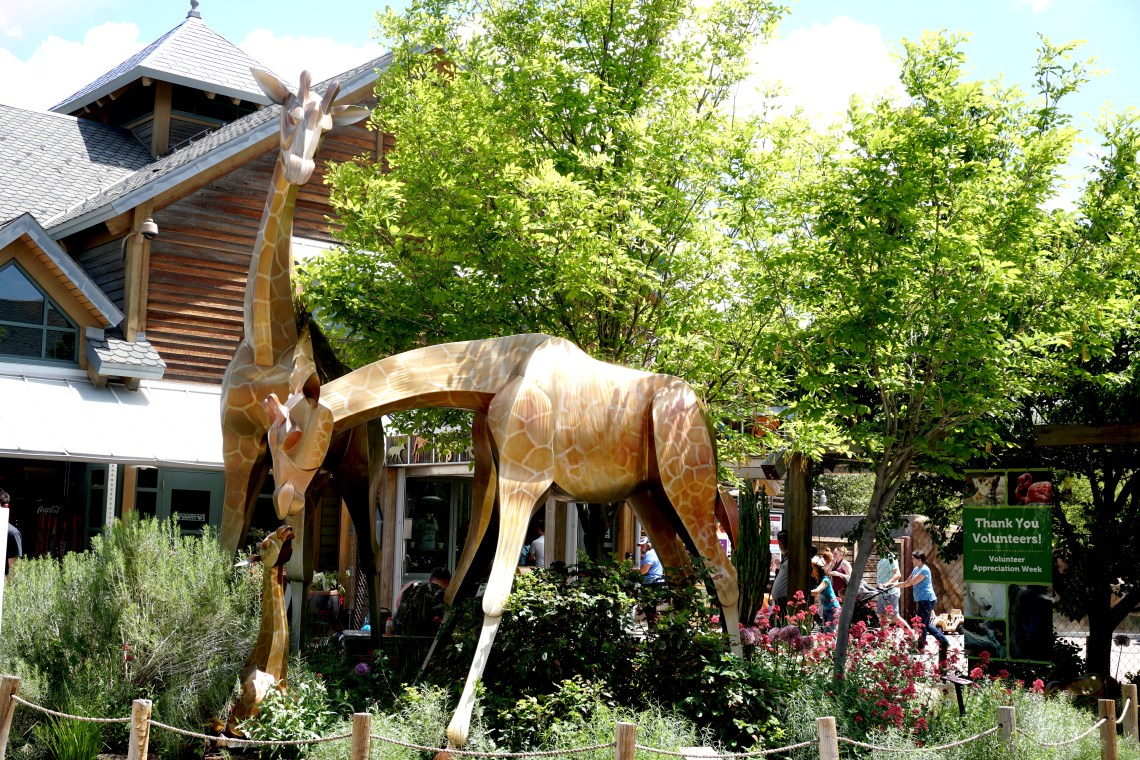 DenverZoo35079765125_00597e3879_o