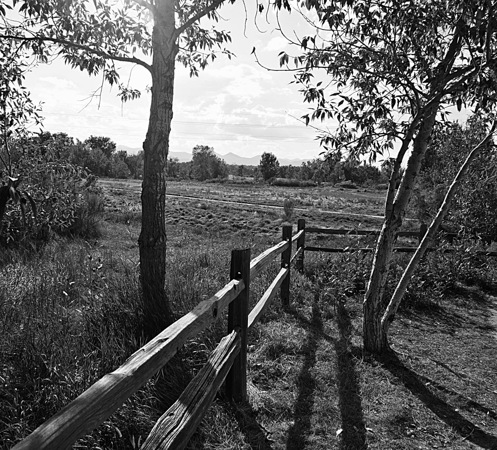 Cee’s Black & White Photo Challenge: Fences and&nbsp;Gates