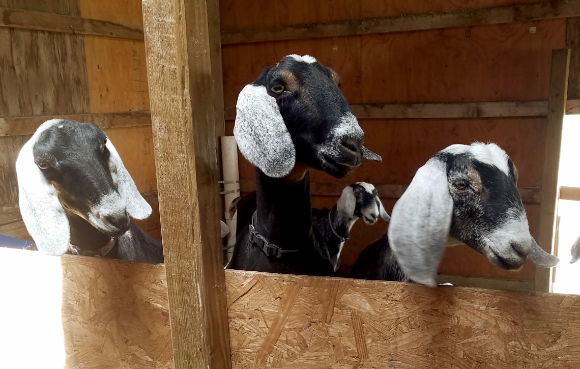 00-20170521_144111_A