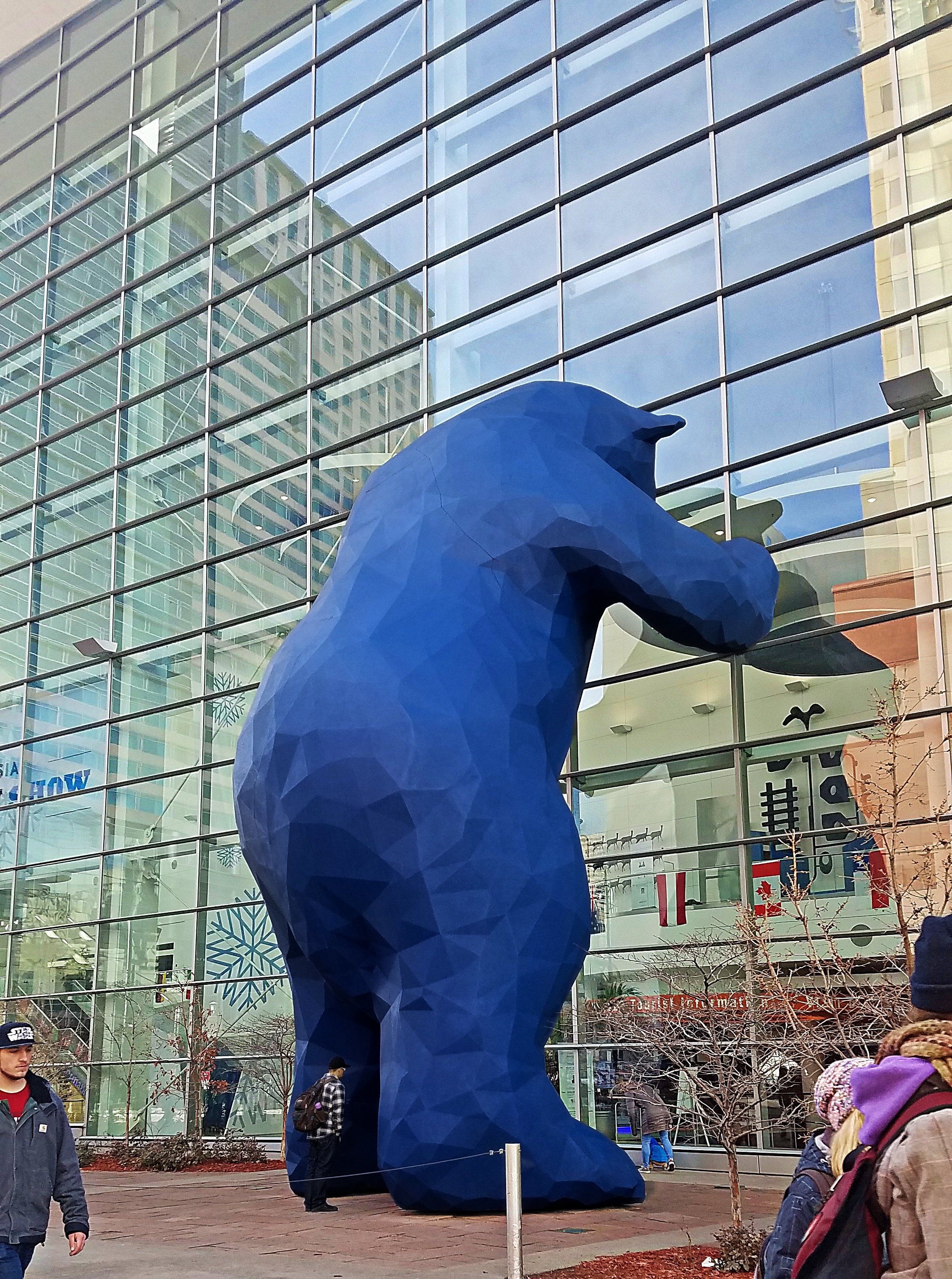 Protest March January 2017