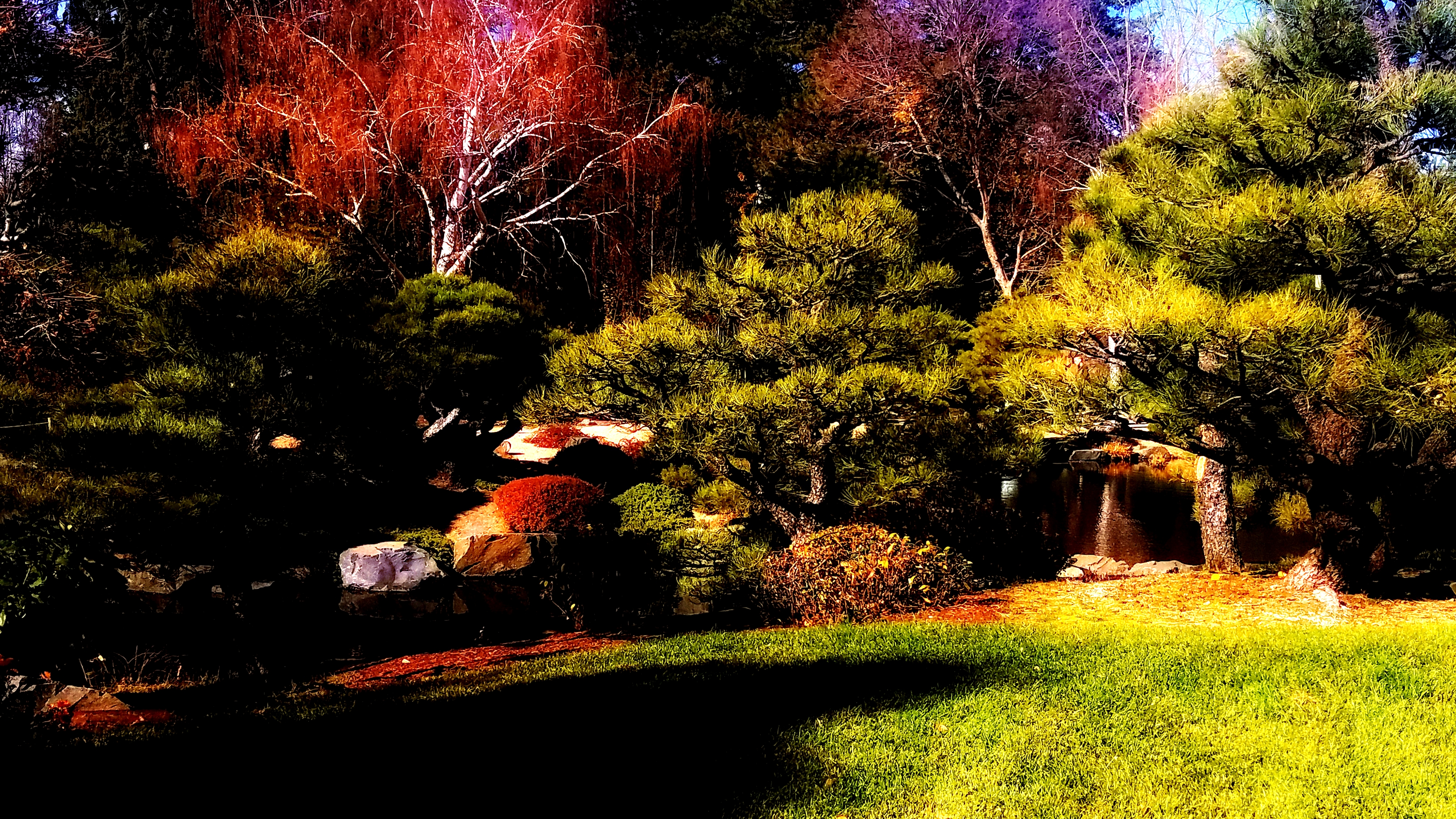 00-DBG-20171104_125059_26400231559A