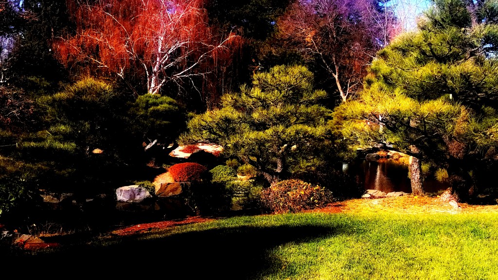 The Gift of Gratitude:&nbsp;Trees