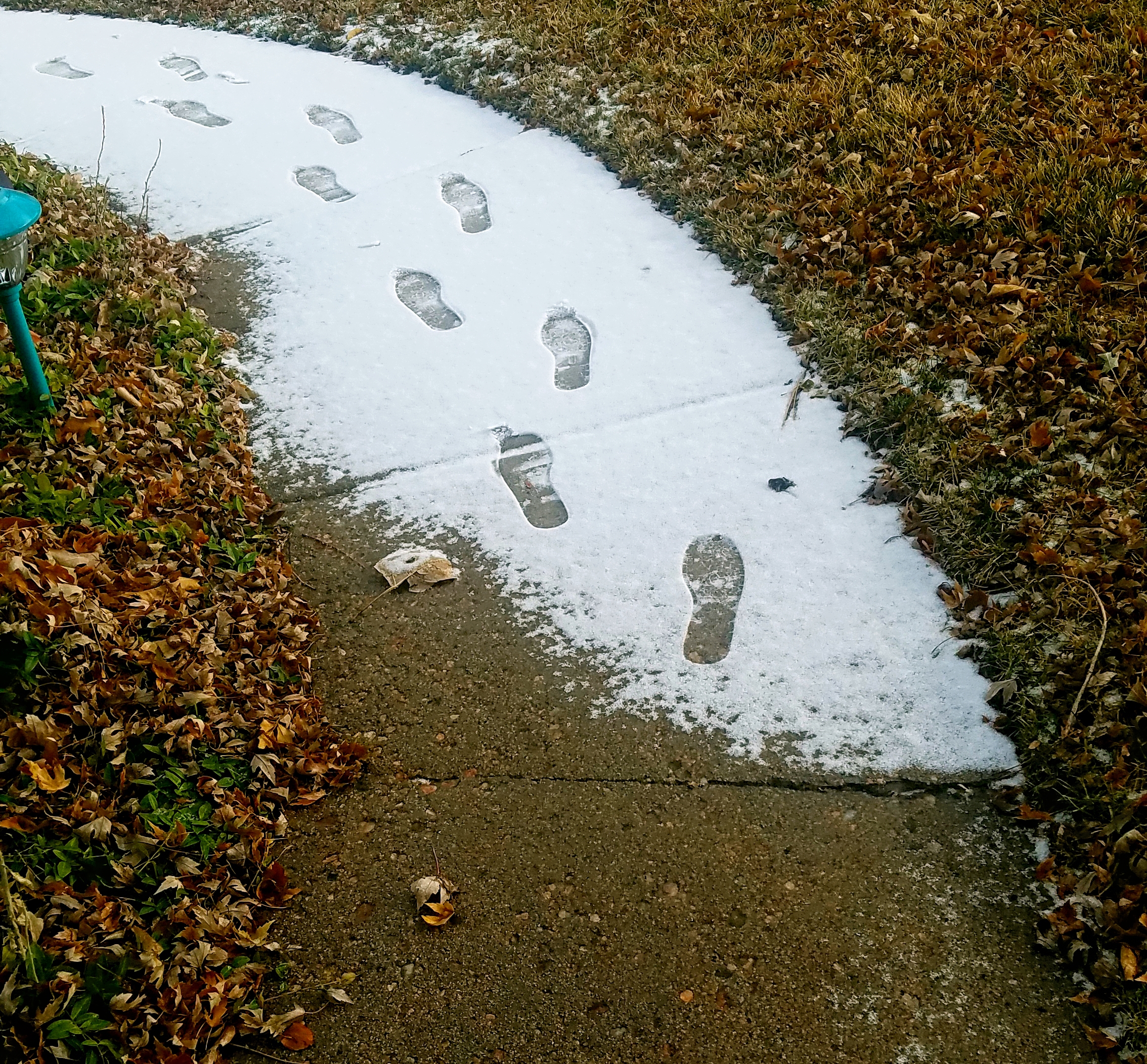 00-DecSnowfall20171208A