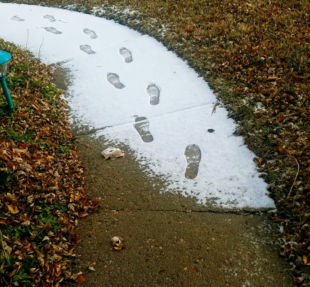 The Gift of Gratitude:&nbsp;Snow