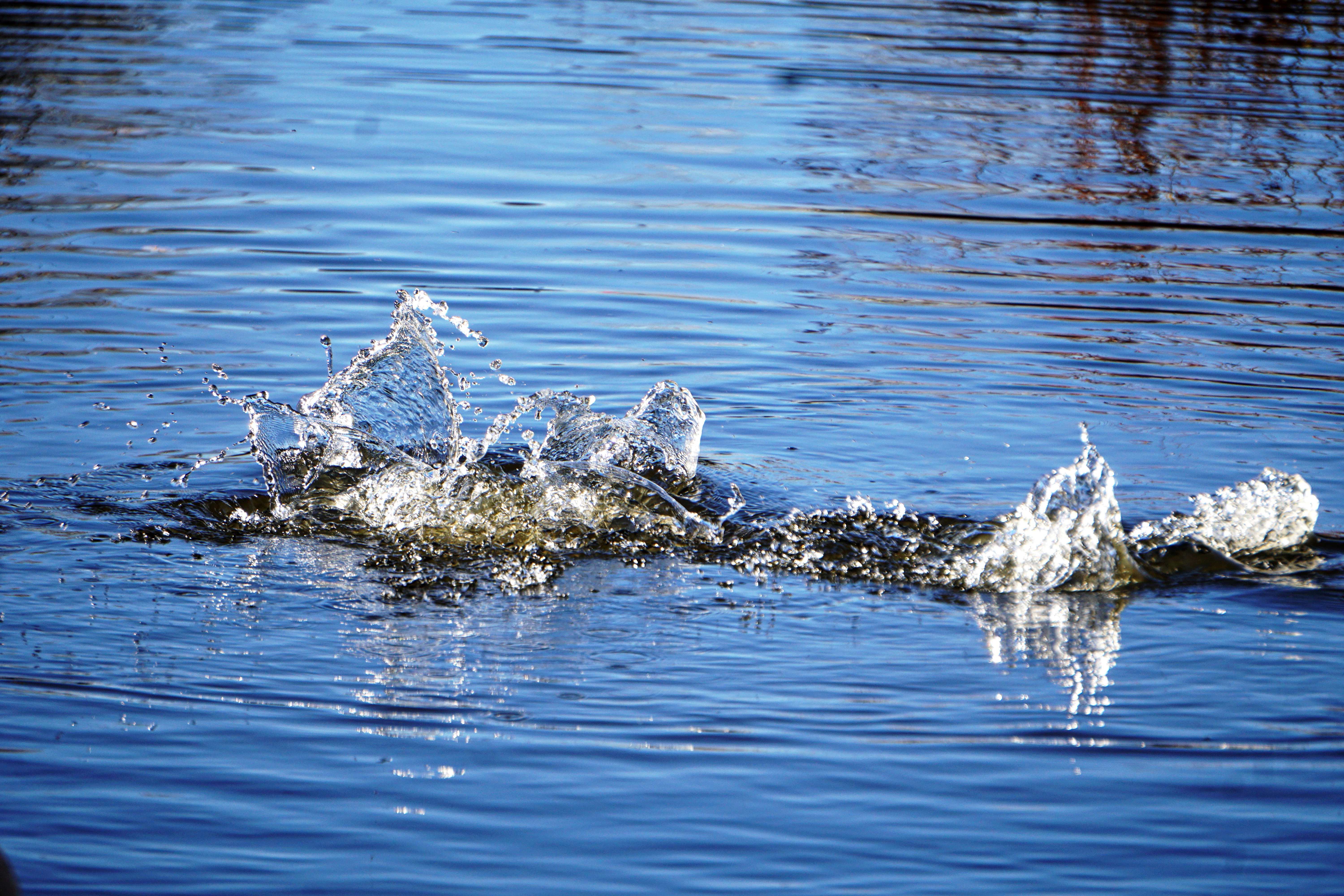 00-ducksplash-DSC03686A