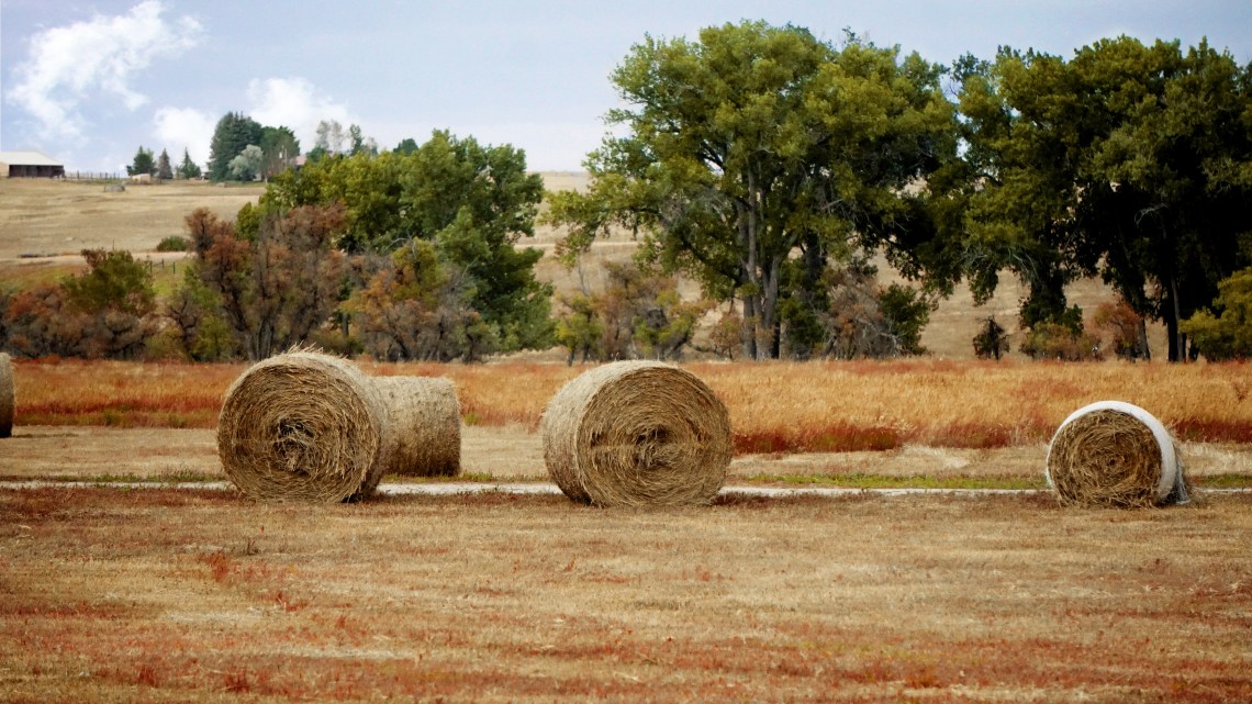 00-haybales-DSC02476A