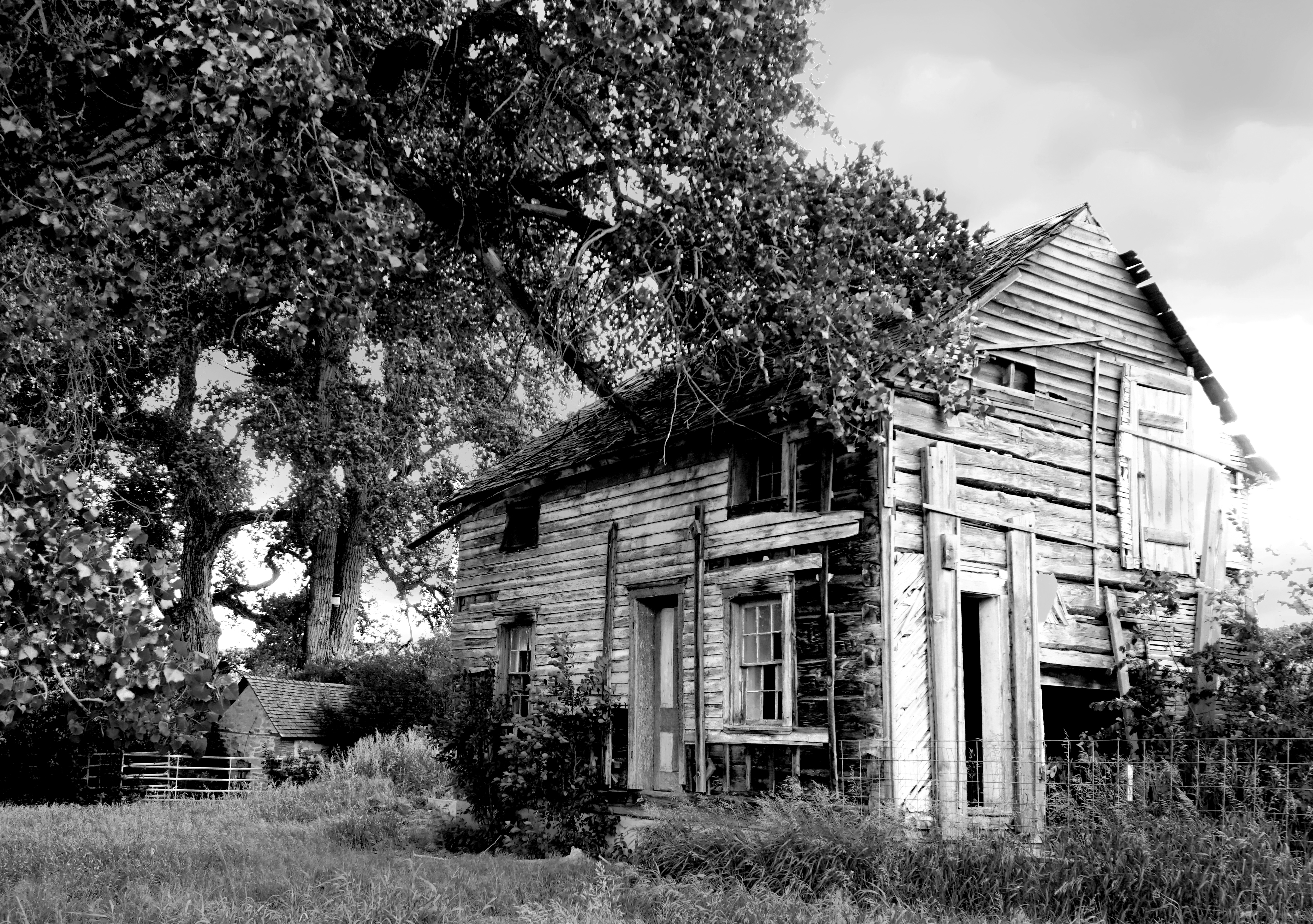 00-house-DSC02423-monochrome=B