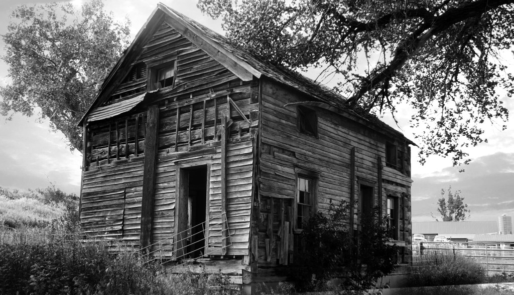 Cee’s Black & White Photo Challenge: Abandoned or&nbsp;Alone