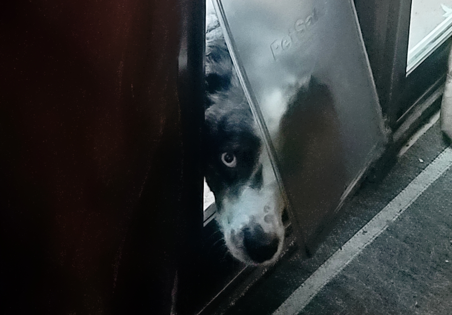 00-Oberon-almost-in20171230_160554_A